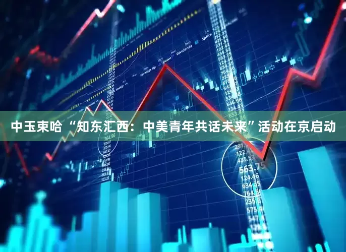中玉束哈 “知东汇西：中美青年共话未来”活动在京启动