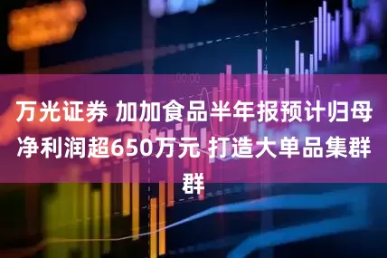 万光证券 加加食品半年报预计归母净利润超650万元 打造大单品集群