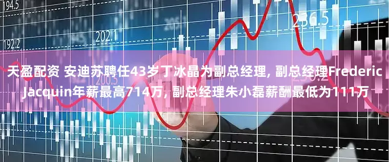 天盈配资 安迪苏聘任43岁丁冰晶为副总经理, 副总经理Frederic Jacquin年薪最高714万, 副总经理朱小磊薪酬最低为111万