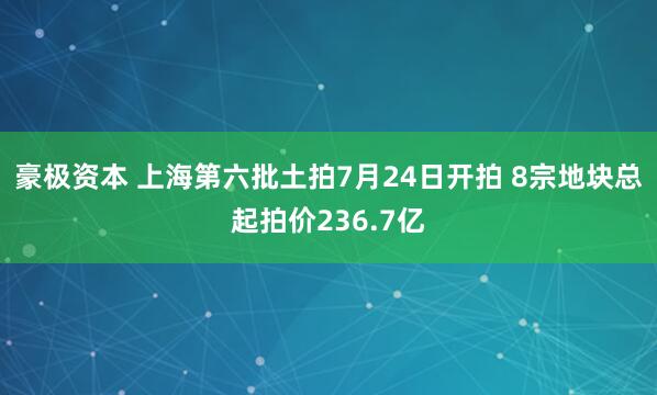 豪极资本 上海第六批土拍7月24日开拍 8宗地块总起拍价236.7亿