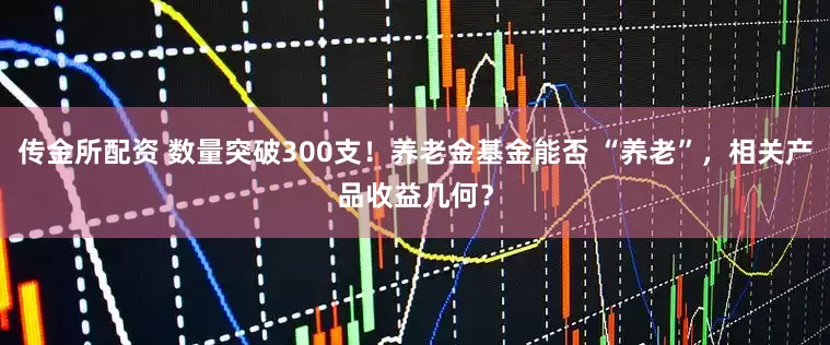 传金所配资 数量突破300支！养老金基金能否 “养老”，相关产品收益几何？