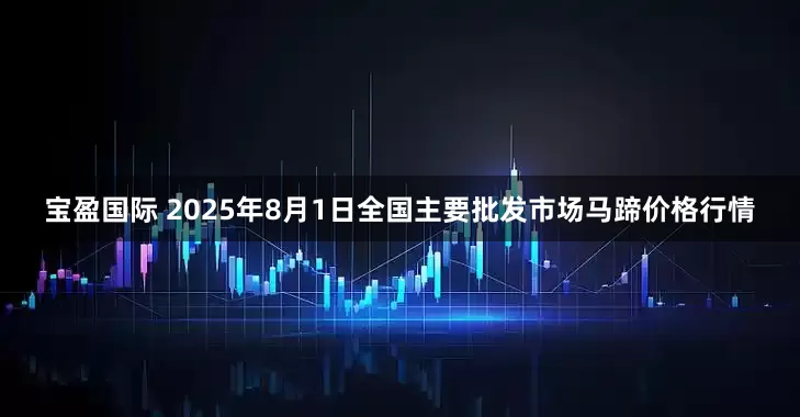 宝盈国际 2025年8月1日全国主要批发市场马蹄价格行情